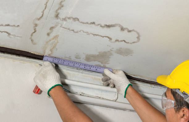 Reliable Water Damage contractor in Bridgeport, CT by Water Damage Irwin